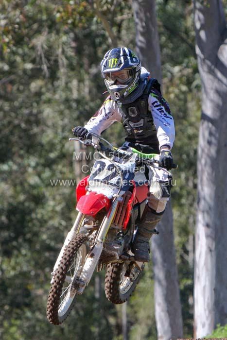 445x677 pixels (60K)